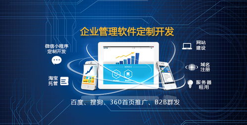 沈陽網站建設與軟件開發 圖APP開發公司如何助力企業數字化轉型